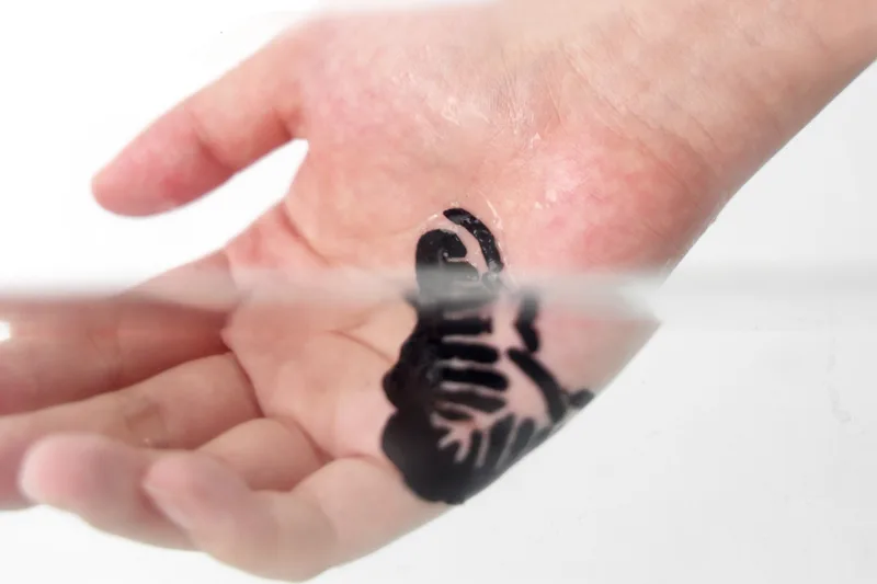 HydroSkin project