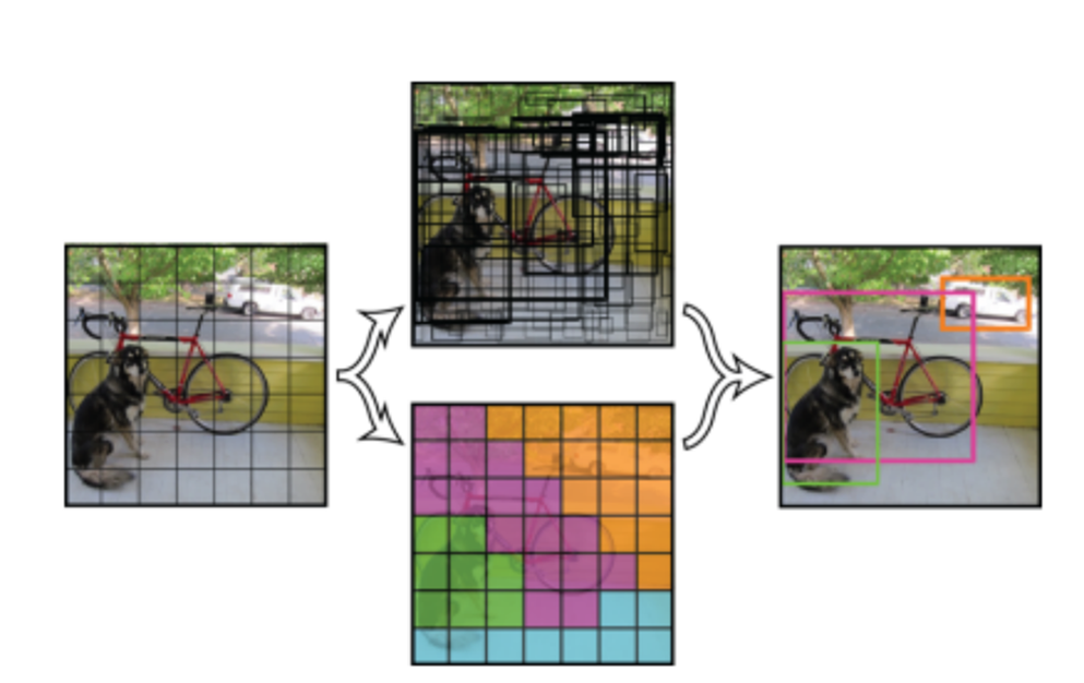 YOLOv2 Detection